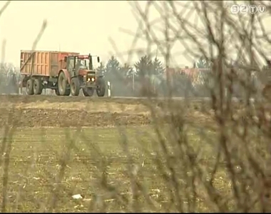 K�lf�ldiek magyar term�f�ldje