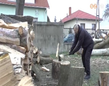 Küzdősportolók vágnak fát szegényeknek Szombathelyen Küzdősportolók vágnak fát szegényeknek Szombathelyen