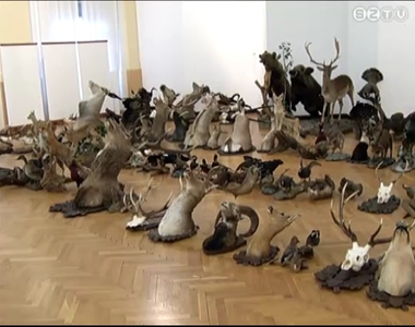 Nagyértékű vadászati gyűjteményt kapott ajándékba a Savaria Múzeum Nagyértékű vadászati gyűjteményt kapott ajándékba a Savaria Múzeum