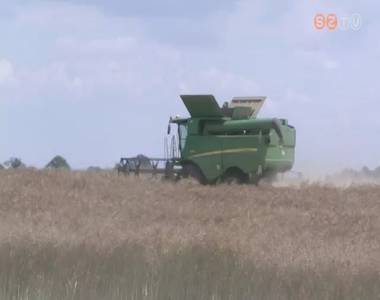 Hagyom�nyosan P�ter-P�l napj�n elkezd�d�tt a gabona betakar�t�sa