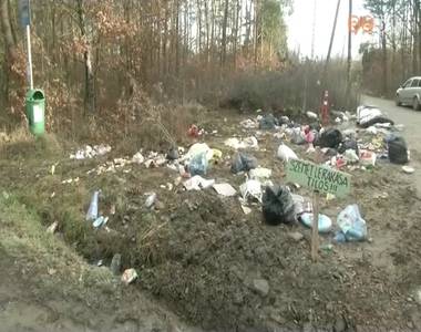 �sszefog�s a tiszta Parkerd��rt