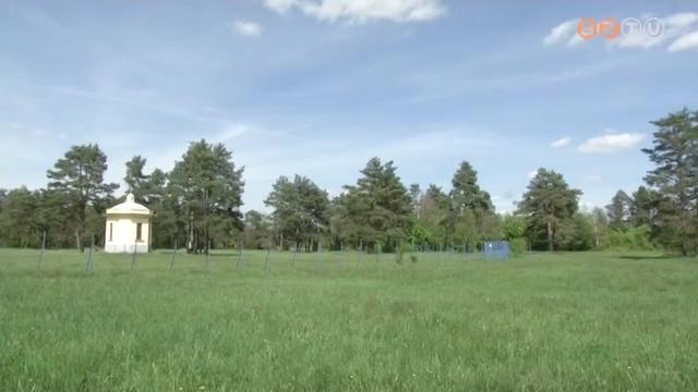 Védett orchideafajok miatt lezárták a Pontyondi mocsár melletti rétet az autók elől Védett orchideafajok miatt lezárták a Pontyondi mocsár melletti rétet az autók elől