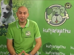 Kutyaf�j�t - m�jus 12.