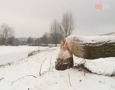 Egyre t�bb gondot okoznak a h�dok a v�zfoly�sok k�rny�k�n