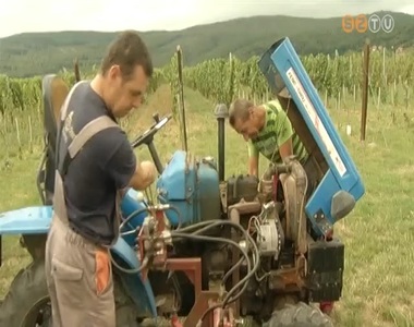 Szüreti ellenőrzések Szüreti ellenőrzések