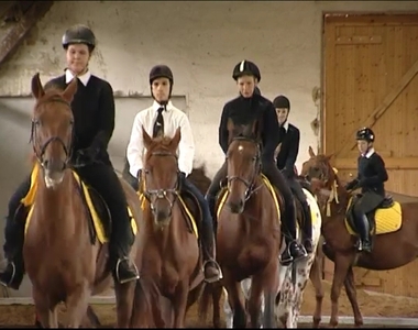 Lovas nap Kőszegen Lovas nap Kőszegen