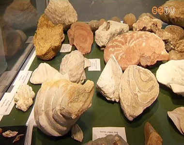 �sv�nyki�ll�t�s