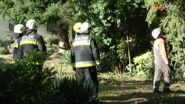 Ötven káresethez riasztották a tűzoltókat a szél miatt Ötven káresethez riasztották a tűzoltókat a szél miatt