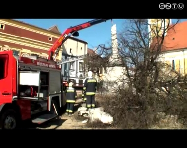 R�d�lt a fa a t�bbsz�z �ves M�ria-szoborra K�szegen