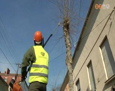 T�li munk�k utc�kon, parkokban