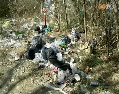 Rengeteg a szem�t az erd�kben