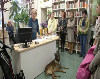 A kutya mint csal�dtag