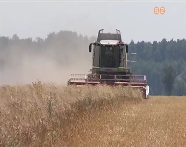 Zajlik az arat�s a megy�ben