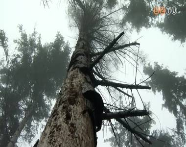 Komoly gondokat okoz az �ghajlatv�ltoz�s a K�szegi-hegys�gben