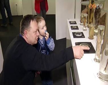 Term�szettudom�nyi ki�ll�t�ssal nyitott a meg�jult Savaria M�zeum