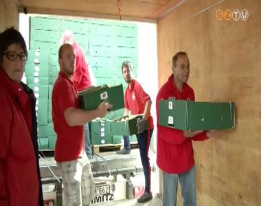 Almaadom�nyt osztott sz�t r�szorul� nagycsal�dok k�z�tt az egyh�zmegyei karit�sz