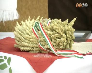 Orsz�gszerte befejez�d�tt a kal�szos gabona betakar�t�sa