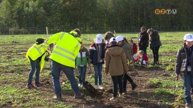 Összesen 25 ezer fát ültetnek el az Őrségben Összesen 25 ezer fát ültetnek el az Őrségben