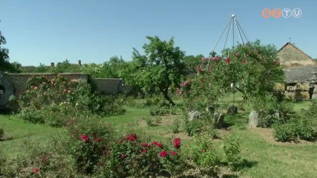 Viruló kert Viruló kert