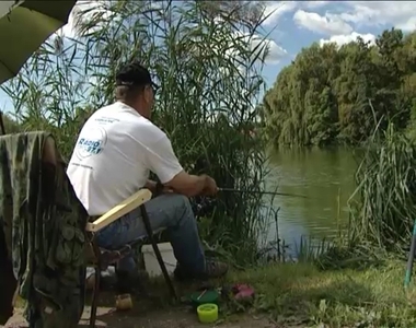 Törpeharcsára vadásztak Törpeharcsára vadásztak