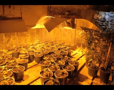 Lebukott a termeszt�