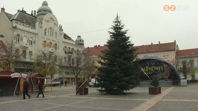 Felállították a város karácsonyfáját Felállították a város karácsonyfáját