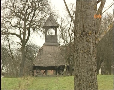 Vasi Mozg�K�pT�r