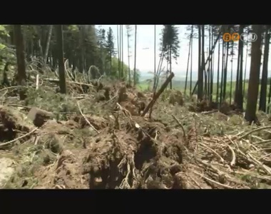 Komoly krokat okozott a Kszegi-hegysgben mrcius kzepn az ers szl