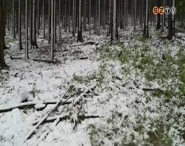 Havazott a K�szegi-hegys�gben