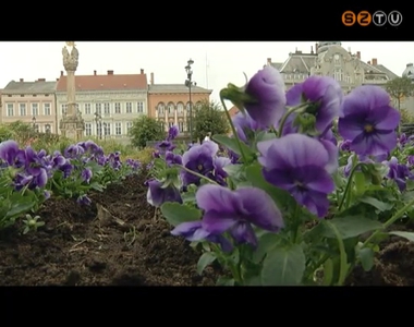 Cserélik a növényeket a Fő téren, és a fagy előtt téliesítik a szökőkutakat a városban Cserélik a növényeket a Fő téren, és a fagy előtt téliesítik a szökőkutakat a városban