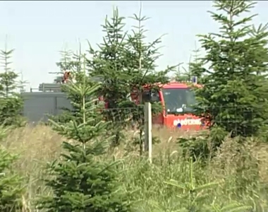 Lngra kapott az aljnvnyzet