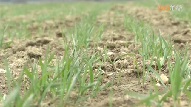 Esőt kívánnak a földek Esőt kívánnak a földek