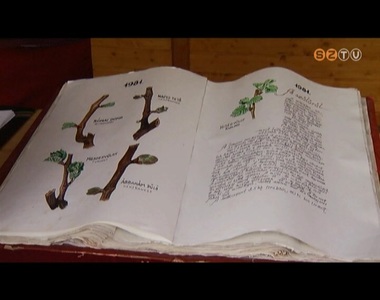 Szellemi Kulturális Örökség Nemzeti Jegyzéke Szellemi Kulturális Örökség Nemzeti Jegyzéke