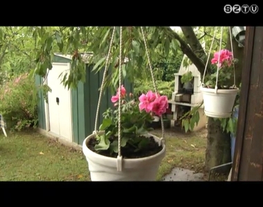 Id�n is keresik a legszebb parkerdei kertet �s utc�t