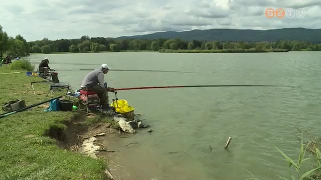 Több mint 35 kiló hal kellett a győzelemhez az idei Abért-tó Kupán Több mint 35 kiló hal kellett a győzelemhez az idei Abért-tó Kupán