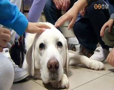 Az �llatok vil�gnapj�t �nnepelt�k a V�ci Mih�ly-iskol�ban