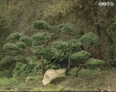 Megújul a kámoni arborétum Megújul a kámoni arborétum
