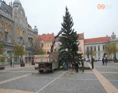 Felállították a város karácsonyfáját Felállították a város karácsonyfáját