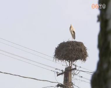 T�l�lte a hideget �s a havaz�st a vassur�nyi g�lya