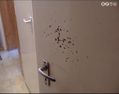 Tisztítás közben sült el a vadász fegyvere Tisztítás közben sült el a vadász fegyvere