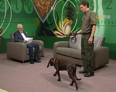 Telezld - 2014. augusztus 28.