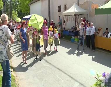 Vir�gba borult k�t napra Szombathely her�nyi v�rosr�sze