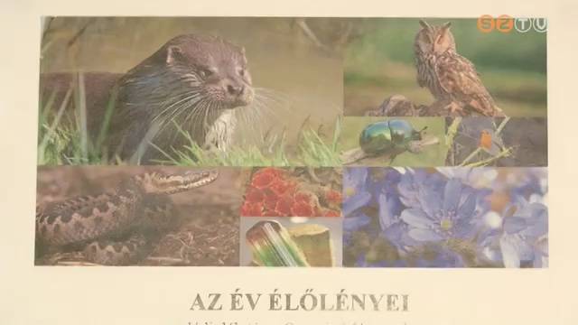Bemutatták az év élőlényeit Bemutatták az év élőlényeit