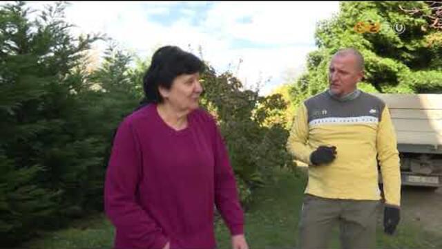 Mr ll Szombathely karcsonyfja a F tren