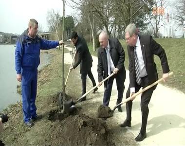 Jubileumi fa�ltet�s