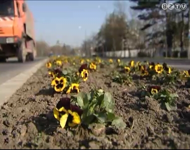 Gyoml�lj�k a vir�g�gy�sokat