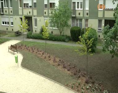 �tadt�k a v�ros leg�jabb pihen�parkj�t