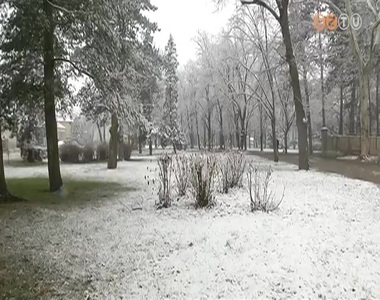 Megérkezett a tél Megérkezett a tél