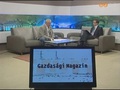 Gazdas�gi magazin - 2012. okt�ber 17.