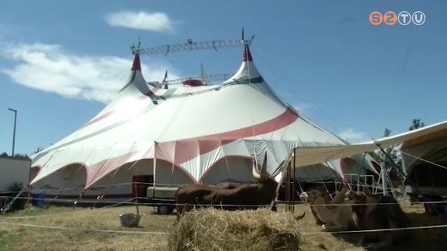 A pandémia után a közönség összetétele is megváltozott a Hungária Nagycirkusznál A pandémia után a közönség összetétele is megváltozott a Hungária Nagycirkusznál